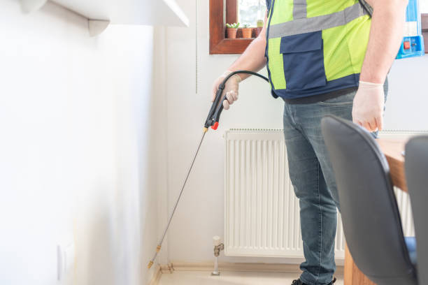 Best Flea Control Services  in Mountain View, NC