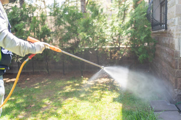 Wildlife Control Services in Mountain View, NC