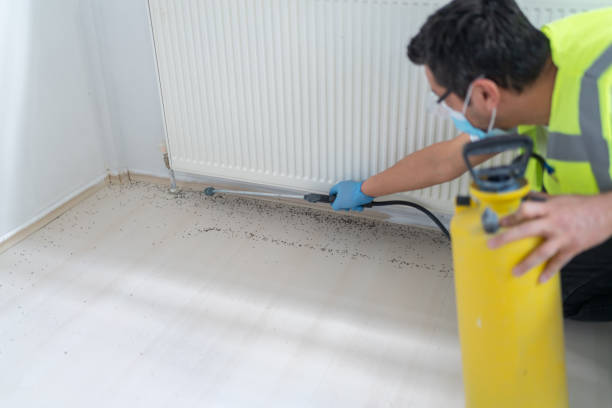 Best Best Pest Control Companies  in Mountain View, NC